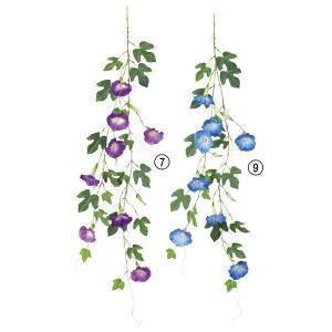 朝顔 アサガオ あさがお 花 ガーデニング の商品一覧 通販 Yahoo ショッピング