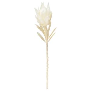 造花 とりよせ品 プロテア 白 ホワイト グラデーション ライラック ワイルドフラワー インテリア インテリアフラワー 花材 花資材 アスカ ASCA アスカ商会