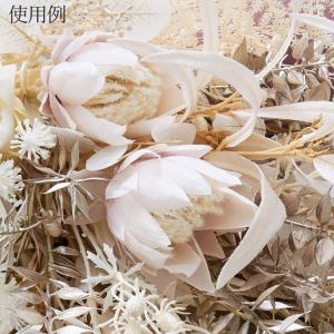 造花 とりよせ品 プロテア 白 ホワイト グラ...の詳細画像3