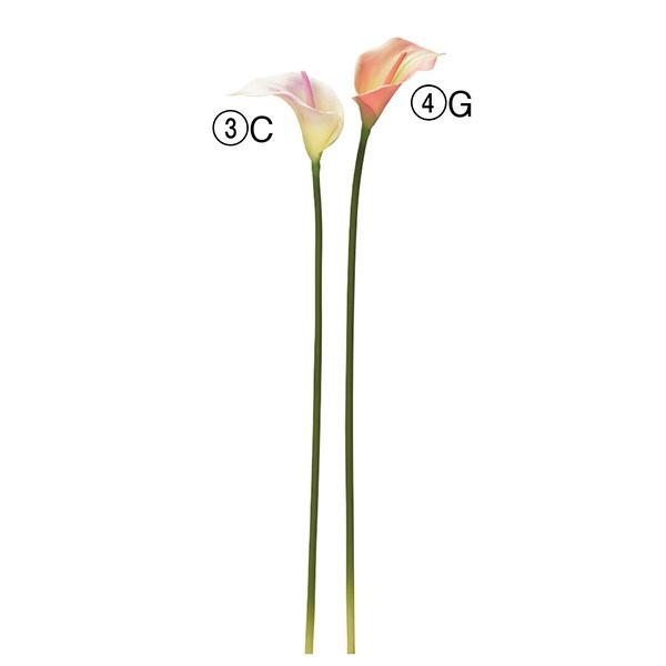 造花 とりよせ品 カラーリリィ カラー ピンク クリーム オレンジ グラデーション グラデカラー ア...