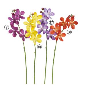 《 造花 》とりよせ品Asca(アスカ) モカラ×4 つぼみ×2