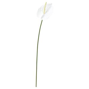 【P5倍中 6/23 9:59まで】 造花 とりよせ品 アンスリウム アンスリューム アーティフィシャルフラワー 観葉植物 南国 トロピカル アスカ ASCA アスカ商会