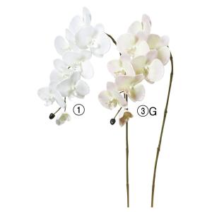 茶道具 籠花入 篭花入 置用 耳付透編 伊藤賢一郎作 茶道 : 茶道具