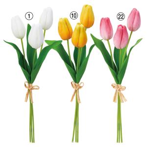ドライフラワー 花材 即日出荷 特価 チューリップスター グリーン