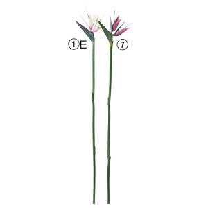 造花 とりよせ品 ストレチア ストレリチア ゴク...の商品画像