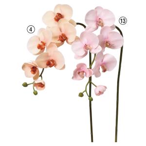 造花 とりよせ品 コチョウラン×5 つぼみ×3 胡蝶蘭 ラン ランの花 インテリア インテリアフラワー フェイクフラワー 花材 花資材 アスカ ASCA アスカ商会