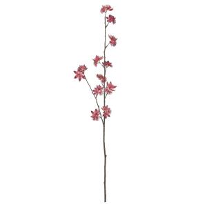 造花 とりよせ品 アストランティア×34 アスト...の商品画像