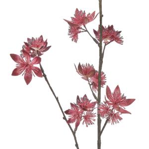 造花 とりよせ品 アストランティア×34 アス...の詳細画像1