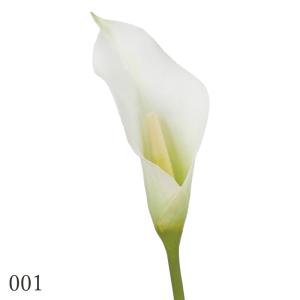【P5倍中 9/16 9:59まで】 造花 と...の詳細画像1
