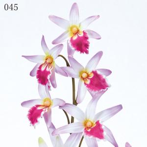 【P5倍中 9/16 9:59まで】 造花 と...の詳細画像2