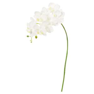 【P5倍中 9/16 9:59まで】 造花 とりよせ品 コチョウラン×10 つぼみ×4 コチョウラン 胡蝶蘭 こちょうらん 洋ラン orchid 花材 アスカ ASCA アスカ商会