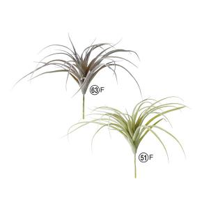 【P5倍中 7/14 9:59まで】 造花 グリーン 多肉植物 とりよせ品 ティランドシア エアプランツ サッカレンテン サボテン インテリア アスカ ASCA アスカ商会