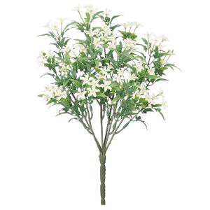 スノーホワイト花 花 ガーデニング の商品一覧 通販 Yahoo ショッピング