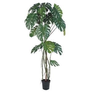 《 フェイクグリーン 観葉植物 》◆とりよせ品◆Asca(アスカ) 【メーカー直送品】 モンステラポット 173cm《代引不可・他商品との同梱不可》｜y-hanabishi