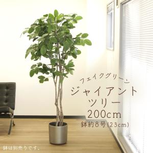 アスカ商会 フェイクグリーン 観葉植物 とりよせ品 【メーカー直送