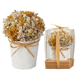 《ドライフラワー 花材》とりよせ品Asca(アスカ) アレンジポット