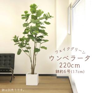 アスカ商会 フェイクグリーン 観葉植物 とりよせ品 【メーカー直送