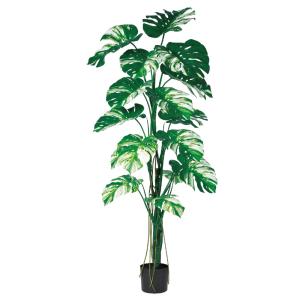 アスカ商会 フェイクグリーン 観葉植物 とりよせ品 【メーカー直送
