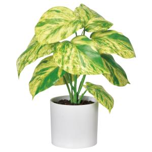 アスカ商会 フェイクグリーン 観葉植物 【メーカー直送品