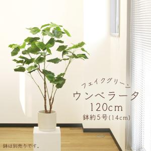 アスカ商会 フェイクグリーン 観葉植物 とりよせ品 【メーカー直送