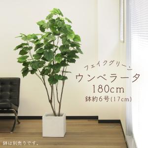 高さ約2m　アスカ造花・観葉植物 ファーン　フェイクグリ-ン　ポット付 1本 アスカ商会 フェイクグリーン 観葉植物 とりよせ品 【メーカー直送