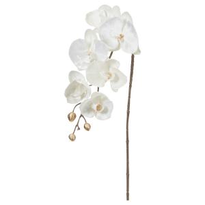 正月 造花 とりよせ品 ベルベットコチョウラン×6 つぼみ×5 洋ラン クックタウンオーキッド デンドロビウム・ビギバム 蘭 起毛 アスカ ASCA アスカ商会｜造花ドライフラワー専門問屋花びし