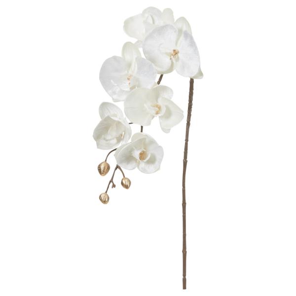 正月 造花 とりよせ品 ベルベットコチョウラン×6 つぼみ×5 洋ラン クックタウンオーキッド デン...