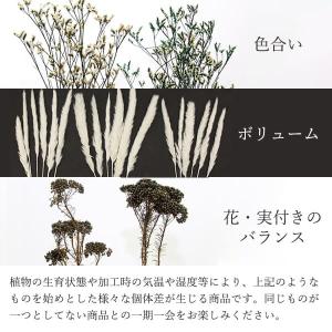 ドライフラワー 花材 とりよせ品 ミニテールリ...の詳細画像3