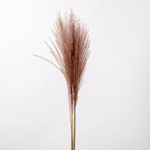ドライフラワー 花材 とりよせ品 ススキ 花材 ...の商品画像