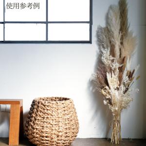 ドライフラワー 花材 とりよせ品 ススキ 花材...の詳細画像2