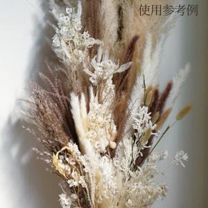 ドライフラワー 花材 とりよせ品 ススキ 花材...の詳細画像3