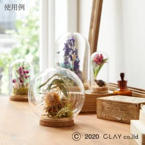 ガラス ベース とりよせ品 Glass Dom...の詳細画像2