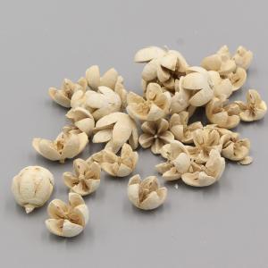 ドライフラワー 花材 即日出荷 【45%OFF】...の商品画像