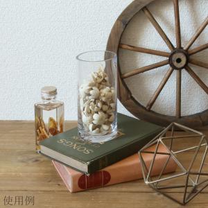 ドライフラワー 花材 即日出荷 【45%OFF...の詳細画像4