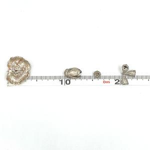 ドライフラワー 花材 即日出荷 ミニコーンアソ...の詳細画像2