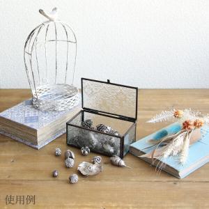 ドライフラワー 花材 即日出荷 ミニコーンアソ...の詳細画像4