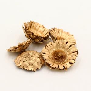 ドライフラワー 花材 即日出荷 コンパクターヘッド ゴールド 花材 素材 材料 パーツ ワイルドフラワー スワッグ ブーケ 花束 リース コアトレーディング