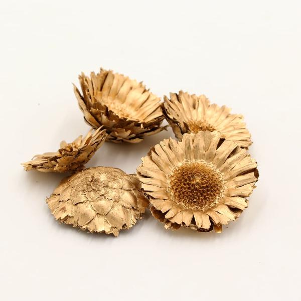 ドライフラワー 花材 即日出荷 コンパクターヘッド ゴールド 花材 素材 材料 パーツ ワイルドフラ...