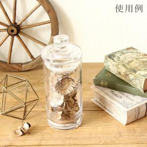 ドライフラワー 花材 即日出荷 コンパクタ―ヘ...の詳細画像4