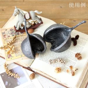 ドライフラワー 花材 即日出荷 ブッダナッツ ...の詳細画像5