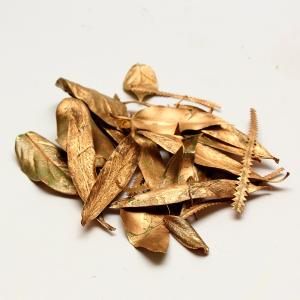 ドライフラワー 花材 即日出荷 ゴールドリーフ ...の商品画像
