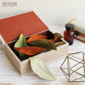 ドライフラワー 花材 即日出荷 マグノリアリー...の詳細画像3