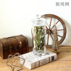 ドライフラワー 花材 即日出荷 ナチュラルリー...の詳細画像5