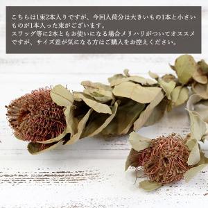 ドライフラワー3