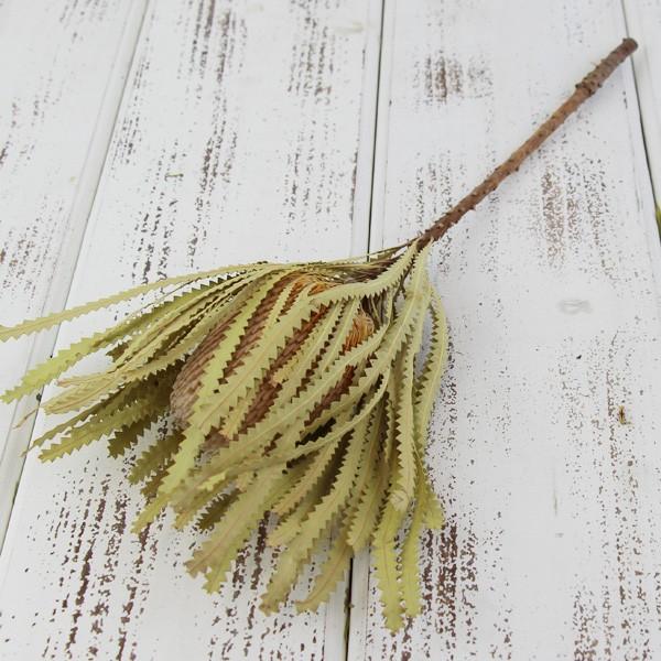 ドライフラワー 花材 即日出荷 バンクシア・プリオノート ワイルドフラワー ドライフラワー スワッグ...
