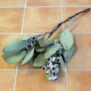 ドライフラワー 花材 即日出荷 ブルーマリー ナチュラル 〇 スワッグ