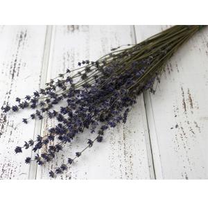 ドライフラワー 花材 即日出荷 ラベンダー・丘む...の商品画像