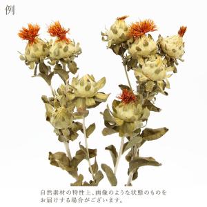 ドライフラワー 花材 即日出荷 紅花・ナチュラ...の詳細画像3