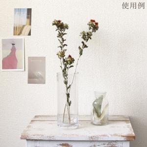 ドライフラワー 花材 即日出荷 紅花・ナチュラ...の詳細画像4