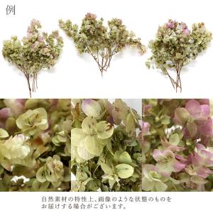 ドライフラワー 花材 即日出荷 オレガノケント...の詳細画像3